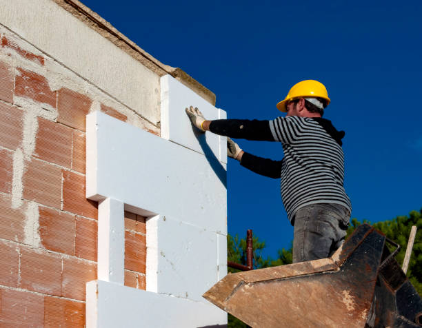 Best Insulation Maintenance and Repair in Lake Dallas, TX