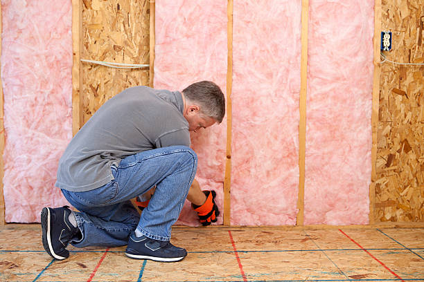 Best Commercial Insulation in Lake Dallas, TX